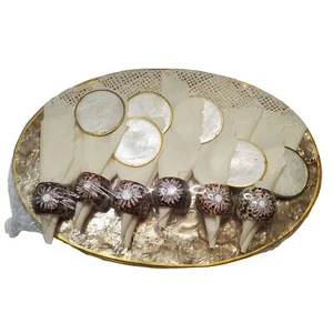 Mother Of Pearl with Shell Napkin and Ring Holder Set with Matching Place Mats - Picture 1 of 14