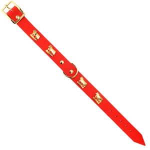 Appenzeller Hunde - Halsband Vollrindleder mit Messingbeschlägen rot  - Bild 1 von 1