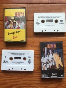Lot 2 Heavy D and The Boyz Cassette Tape Classic Hip Hop Rap Big Tyme Living LG - Picture 1 of 10