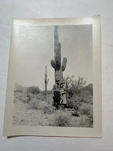 Foto istantanea vintage anni 40 enorme cactus Saguaro uomo e donna - Foto 1 di 2