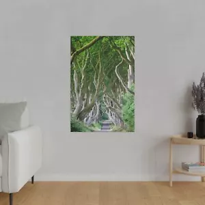 Dark Hedges. The King's Road from Game of Thrones in Northern Ireland. - Picture 1 of 13