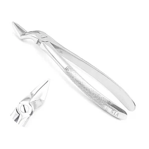 1 Piece Of Extracting Forceps # 51A Dental Surgical Instruments - Picture 1 of 6