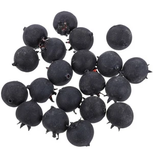 20 Pcs Artificial Fruit Decoration Plastic Fruits for Fake Blueberries - Picture 1 of 12
