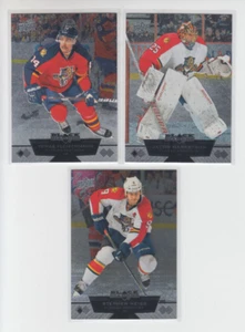 12/13 UD Black Diamond Florida Panthers (3 cards) Fleischmann Markstrom Weiss - Bild 1 von 2