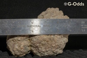 Huge Unbrocken Canadian Geode with Quartz around  5" - Picture 1 of 7