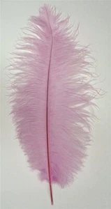 Plumas de avestruz de orquídea 12-16 pulgadas de largo por cada una - Imagen 1 de 3