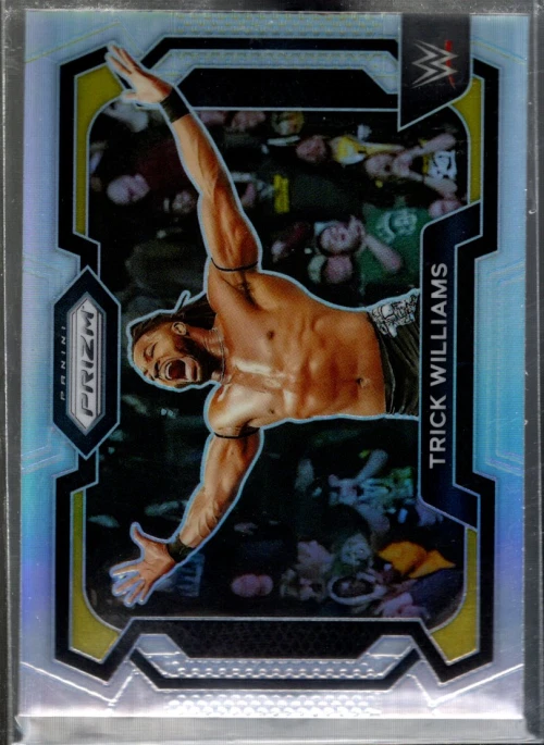 B5542- 2024 Panini Prizm WWE Prizms Silver Cards -You Pick- 15+ FREE US SHIP - Image 1 of 1