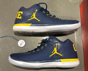 Air Jordan 31 XXX1 Michigan PE US 11 897564 425 - Picture 1 of 5