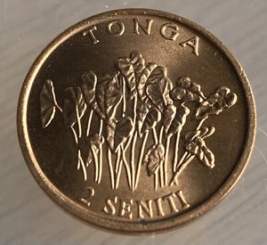 Tonga 2 Seniti 1981 (KM#67) FAO - Foto 1 di 2