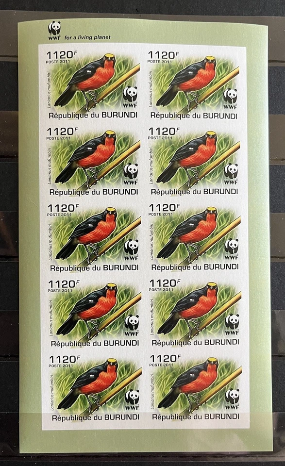 Burundi - WWF / Pássaros - 1 folha completa imperfeita. MNH** AM4 - Imagem 1 de 1