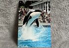 Seaworld Orca Vintage AK Postkarte Shamu Vancouver Aquarium