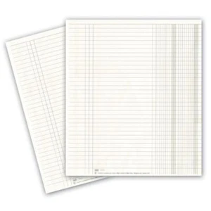 Buffetti Registro Giornale A 2 Colonne - 96 Pagine - 31X24,5 Cm - Foto 1 di 1
