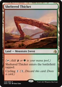 SHELTERED THICKET Amonkhet MTG Land  Mountain Forest Rare - Picture 1 of 1