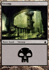 SWAMP #298 X4 4 4X Ravnica MTG Magic the Gathering Cards DJMagic