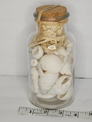 Botella con cáscaras blancas Beachcombers Foto 1 de 4