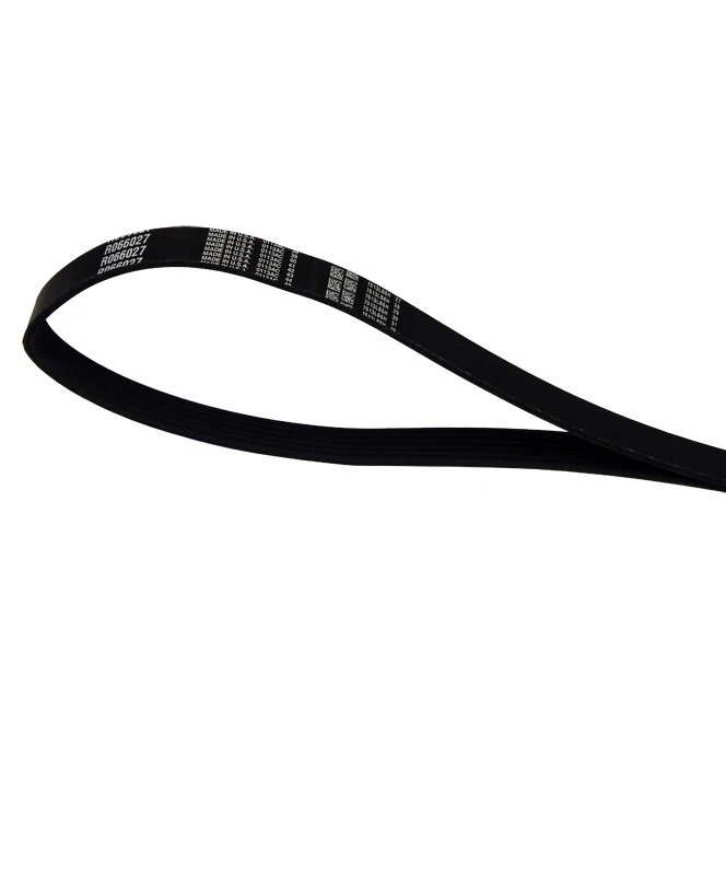 Crusader Marine R066027 Serpentine Belt (6.0L) - Image 1 of 1