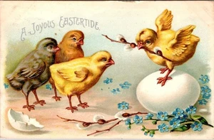 Cute Chicks w/Egg, Embossed Easter Postcard, 1909, #4216 - Picture 1 of 2