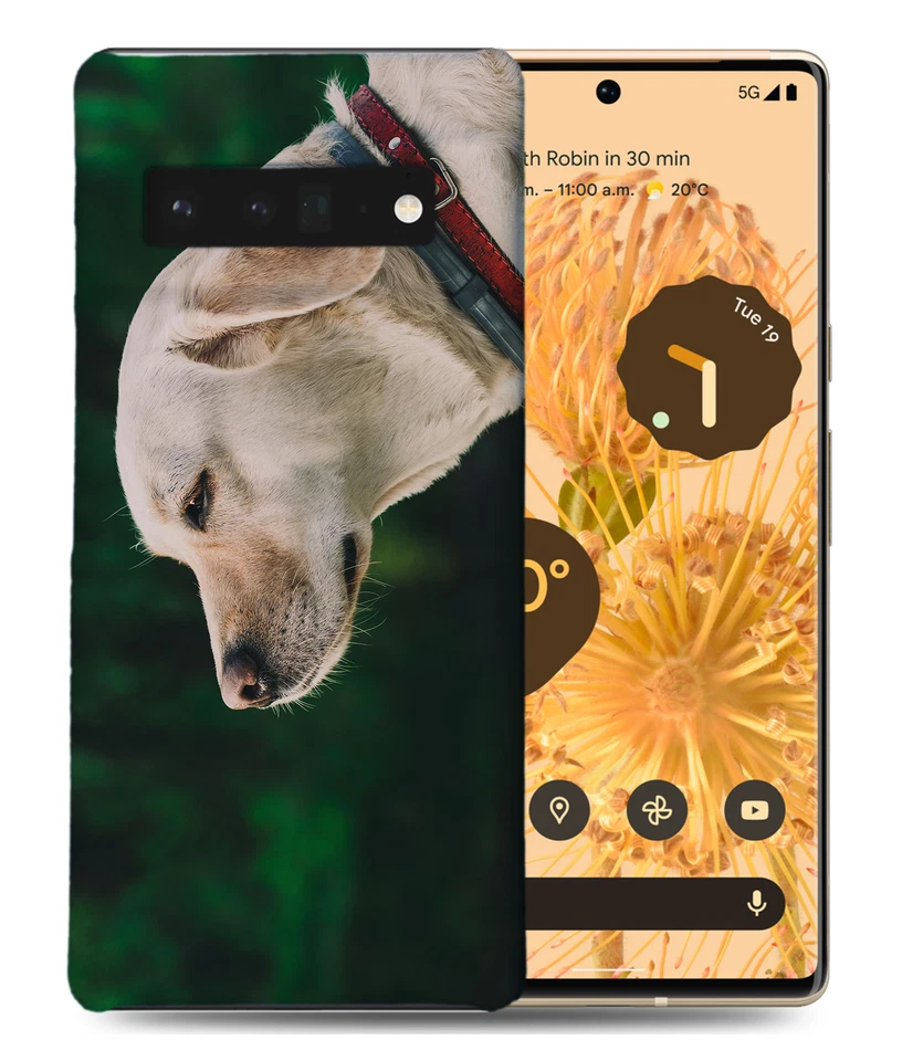 CASE COVER FOR GOOGLE PIXEL|CUTE ADORABLE LABRADOR DOG #9 - Image 1 of 1