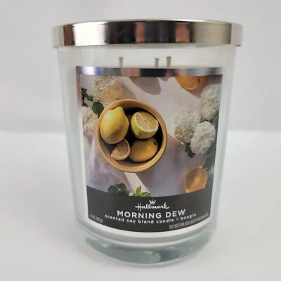Vela tarro de 3 mechas Hallmark Morning Dew 16 oz cítricos, agua de lluvia, hierba recién cortada  Foto 1 de 4
