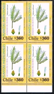 CHILE 2000 STAMP # 1995 MNH BLOCK OF FOUR MEDICINAL PLANTS - Picture 1 of 1