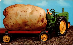 Postcard Giant Idaho Potato Pulled By Tractor Exaggeration Chrome Unposted - Bild 1 von 2