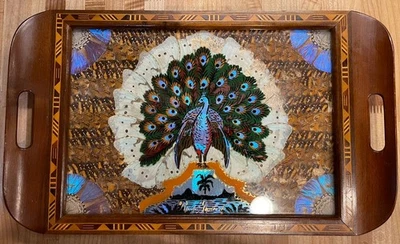 Vtg Antique Exotic Wood Tray Butterfly Wing Reverse Glass Painting Peacock Art - Image 1 of 4