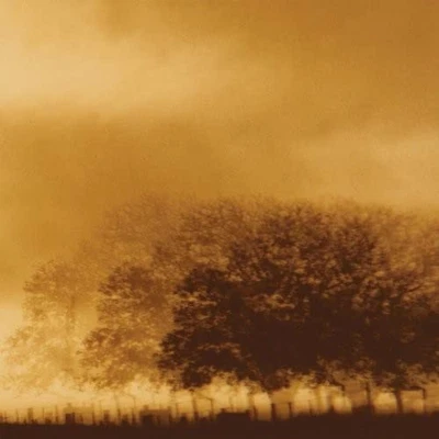 Rivulets Infinite Light Ltd. (Vinyl) - Image 1 of 2