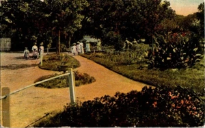 Post Card Flower Garden Scene In Oakland Park Salina Kansas Posted 1912 - Picture 1 of 2