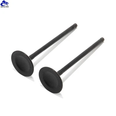 Válvulas de admisión para Suzuki LTF400 LT-F400 02-22 LT-A500 LT-A450 LTF500 12911-14D10 Foto 1 de 4