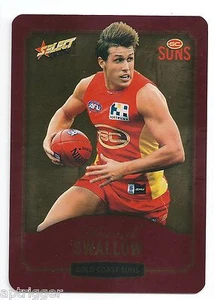 2014 Select Champions Gold (99) David SAWLLOW Gold Coast - Picture 1 of 1