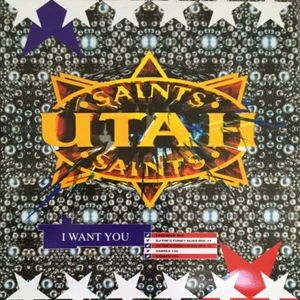 Utah Saints - I Want You (12", Single) - Imagen 1 de 1