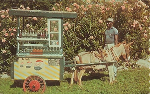 Postal de vagón de bebidas nativo de Barbados PepsiCola - Imagen 1 de 2
