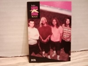 ProSet 1991 SuperStars MusiCards Excel Card #173 EX.