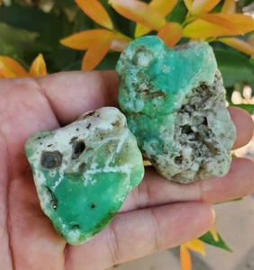 91Gr Natural Buy 1 Get 1 CHRYSOPRASE Certified mineral Specimen Rough Indonesia - Picture 1 of 5