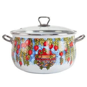 POMEGRANATE Soup Pot Enamelware Pot Stockpot Enameled Pot Enamel Pot 6.5 qt - Picture 1 of 11