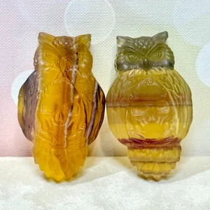 Gelber Fluorit Eule Schädel Kristallschnitzerei - natürlicher Edelstein geschnitzter Cabochon 2 Zoll - Bild 1 von 5