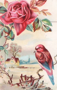Tarjeta victoriana escena de granja pájaro cantor y rosa roja - Imagen 1 de 4