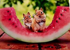 "One in a MELON!" Funny Avanti Happy Birthday Greeting Card Squirrels Watermelon