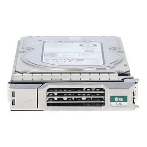Dell Equallogic 6TB 7.2K SAS Hard Drive - Afbeelding 1 van 5