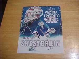 Igor Shesterkin New York Rangers 8x10 Color Photo FREE SHIPPING 3/MORE - Picture 1 of 1
