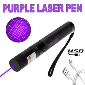 Purple LaserPointer USB Rechargeable Pen Visible Beam Light Lazer - Picture 1 of 12