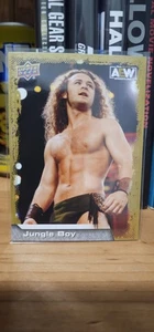AEW Upper Deck 2022 Jungle Boy Gold Parallel - Imagen 1 de 2