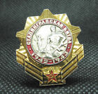 STALINGRAD BATTLE Soldier with grenade SOVIET RUSSIA WW2 GERMANY MEDAL PIN BADGE