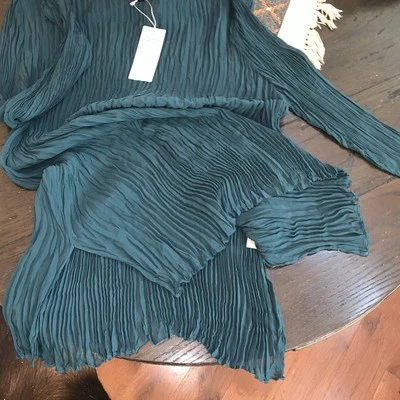 NUEVO CON ETIQUETAS Túnica Eileen Fisher Arrugada Seda Transparente Georgette Cuello Barco Talla 1X Foto 1 de 4
