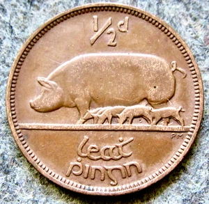 IRELAND 1940 1/2 PINGIN - 1/2 PENNY - HALFPENNY SOW & PIGLETS, Gaelic Harp - Picture 1 of 6