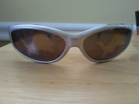 NFL Detroit Lions wrap Sunglasses Cover