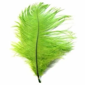 Pluma de avestruz monótona 6-15 cm x 5 - verde lima ((SEGUNDOS)) - Imagen 1 de 1