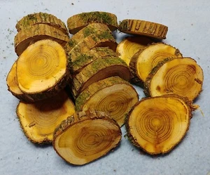 18 pc 2 1/8" - 2 1/2" Osage Orange Live Edge Wood Rounds  Cookies  Beau D'arc - Picture 1 of 5
