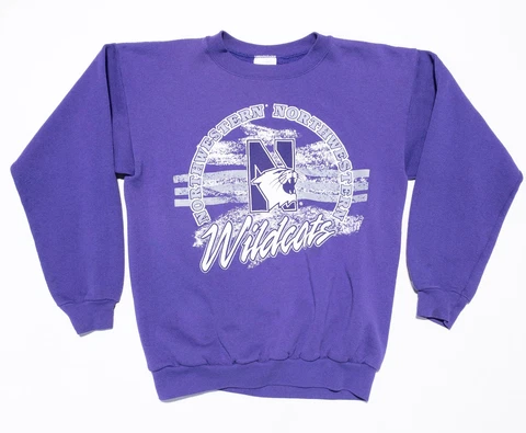 Northwestern Wildcats Vintage Sweatshirt Adult Large 90s Purple Pullover College Cover