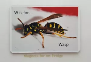 CHILDREN'S LEARNING ALPHABET 'W is for Wasp' FRIDGE MAGNET - M376 F - Bild 1 von 1